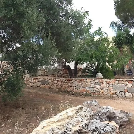 Mare Ulivi Taranta