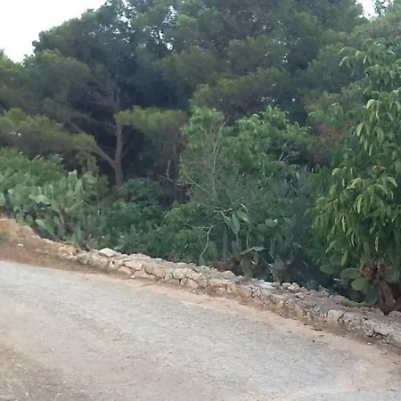 Mare Ulivi Taranta * Ruffano